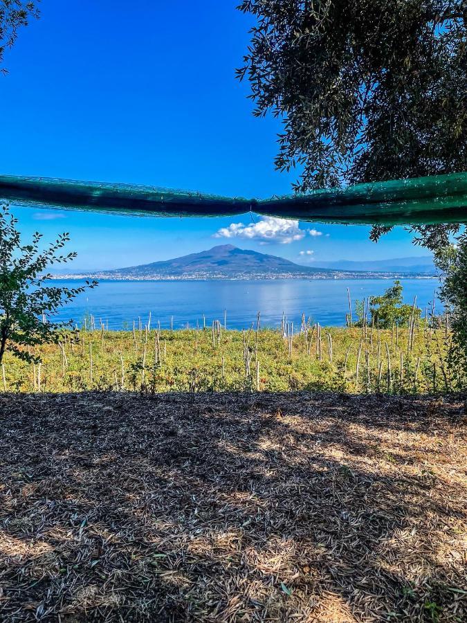 Lodge Antica Tenuta Celotto